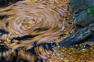 Herbstliche Bode im Harz