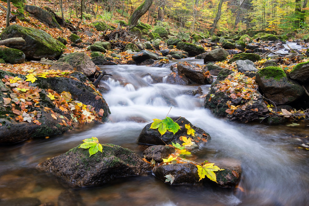 Am herbstlichen Bach