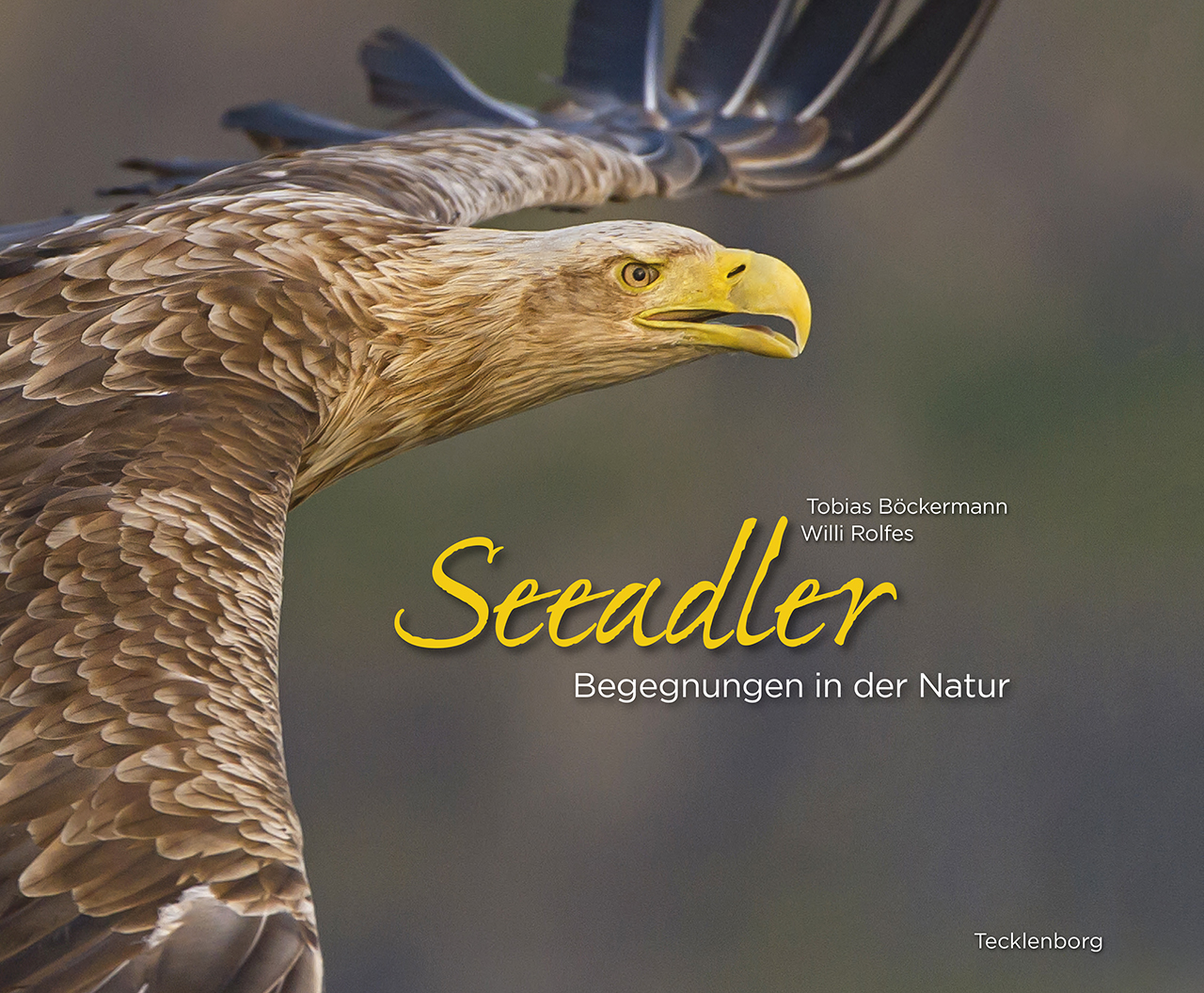 Buchcover Seeadler