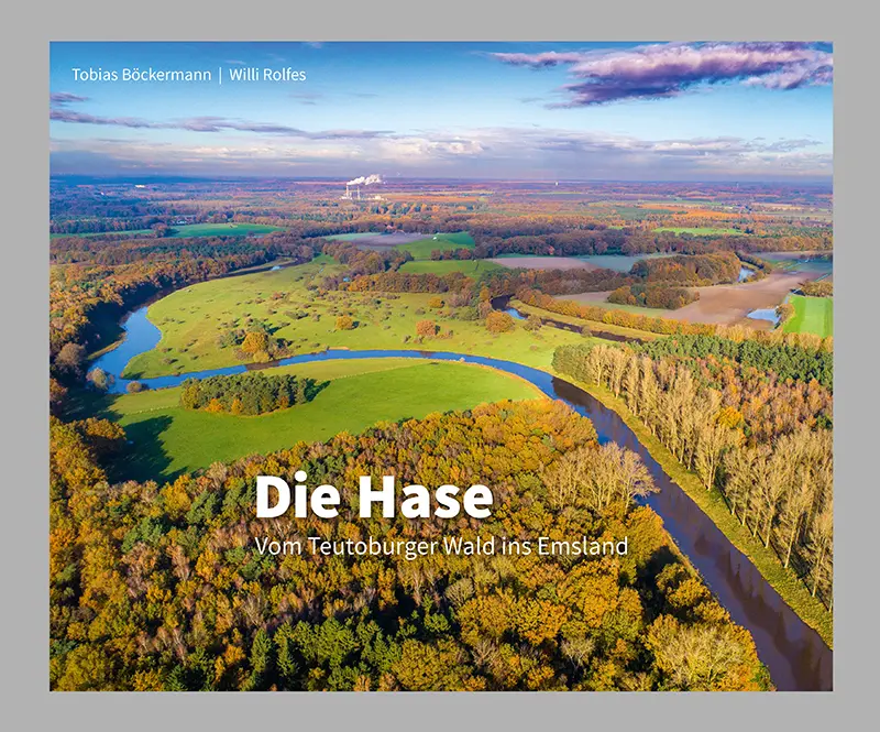 Cover des Buches Die Hase