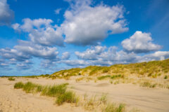 Dünen an der Domäne Bill auf der ostfriesischen Nordseeinsel Juist